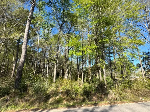 $32,000 | Tbd Railroad Avenue, Shepherd, TX 77371