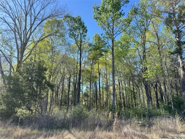 $32,000 | Tbd Railroad Avenue, Shepherd, TX 77371