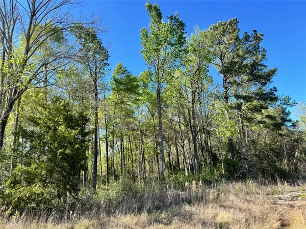 $32,000 | Tbd Railroad Avenue, Shepherd, TX 77371