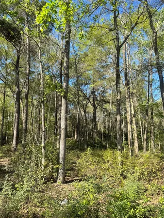 $32,000 | Tbd Railroad Avenue, Shepherd, TX 77371