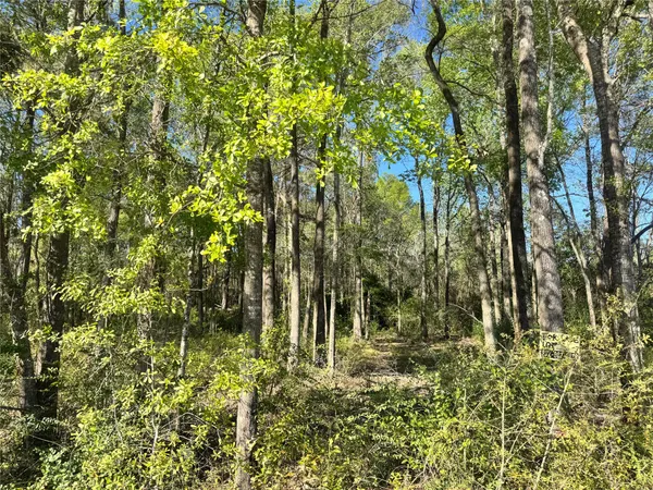 $32,000 | Tbd Railroad Avenue, Shepherd, TX 77371