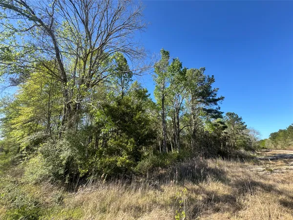 $32,000 | Tbd Railroad Avenue, Shepherd, TX 77371