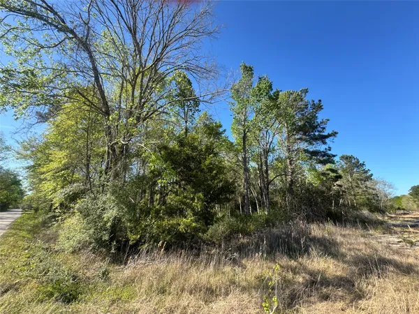 $32,000 | Tbd Railroad Avenue, Shepherd, TX 77371