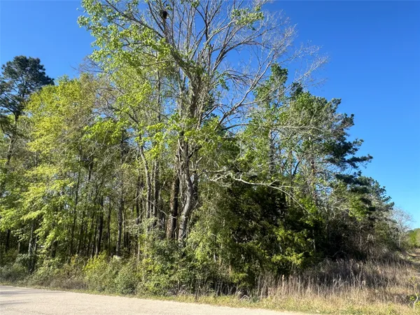 $32,000 | Tbd Railroad Avenue, Shepherd, TX 77371