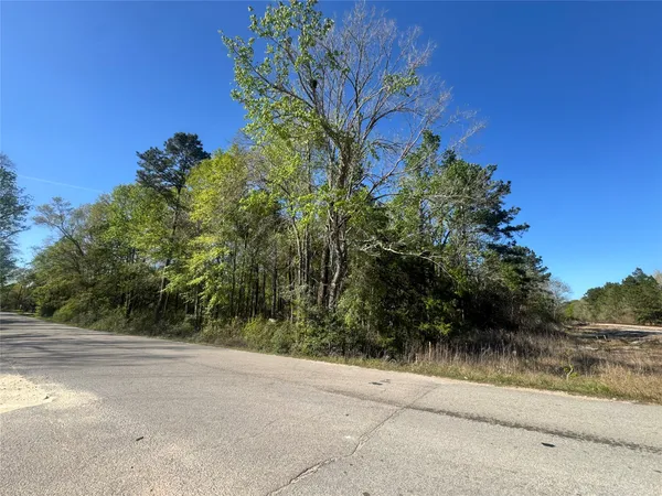 $32,000 | Tbd Railroad Avenue, Shepherd, TX 77371