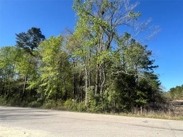 $32,000 | Tbd Railroad Avenue, Shepherd, TX 77371