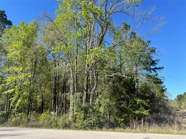 $32,000 | Tbd Railroad Avenue, Shepherd, TX 77371