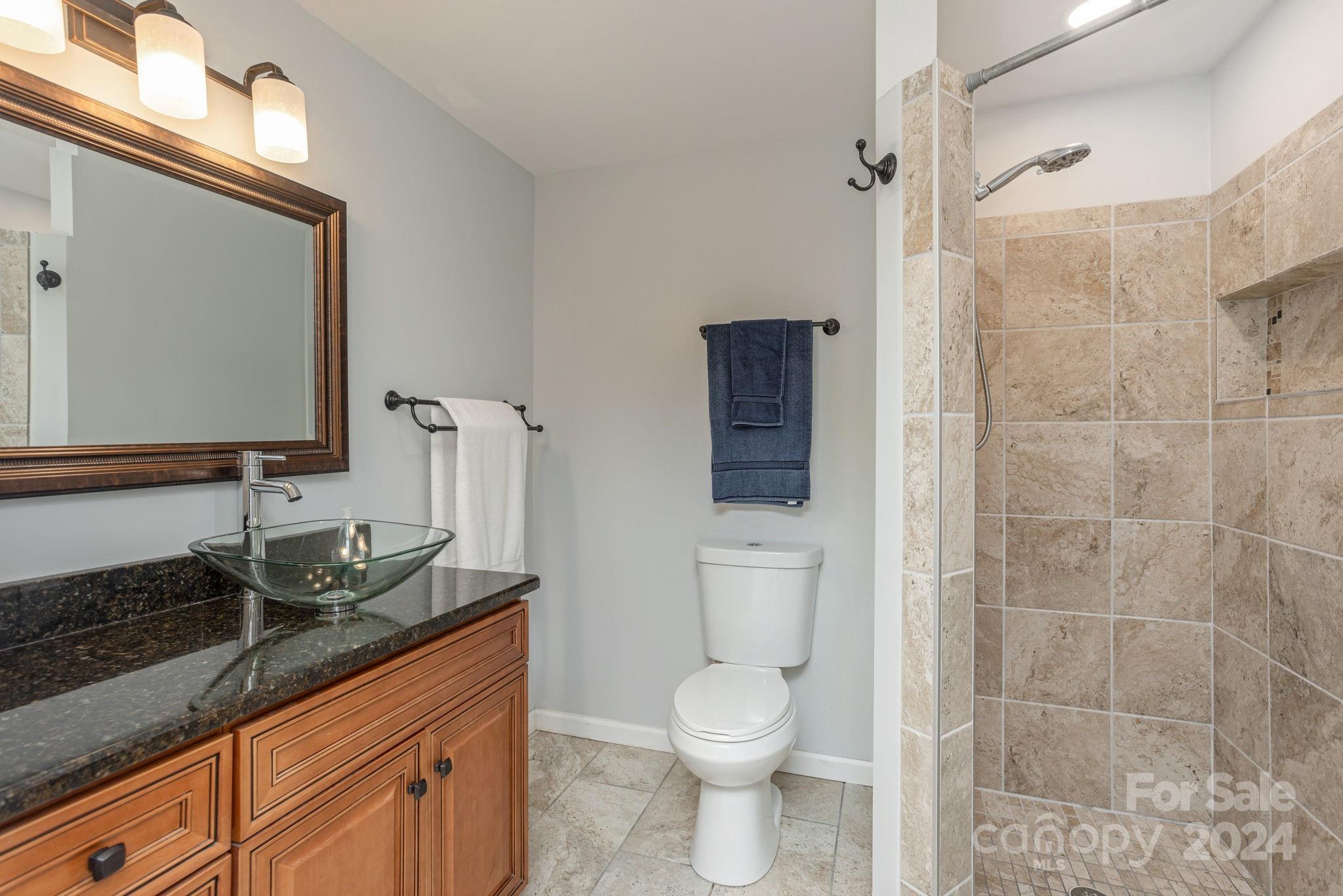 21 Spring Cove Court Arden, NC 28704 - Photo 29 of 32 a bathroom with a granite countertop sink a toilet and a mirror