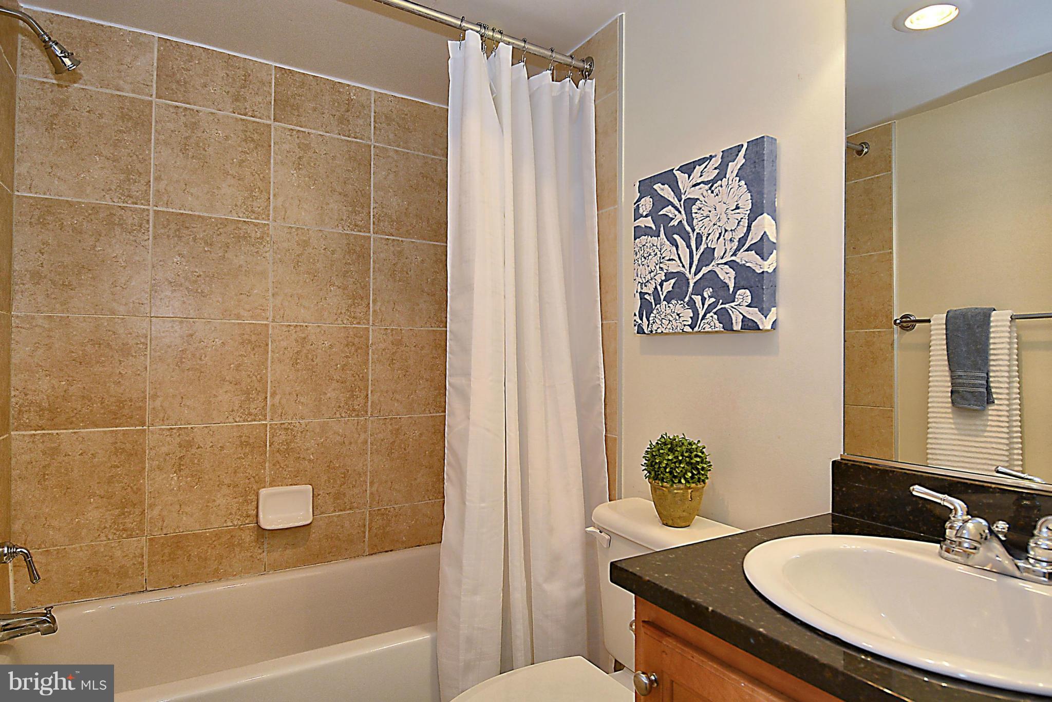 1220 Blair Mill Road, Unit 112 Silver Spring, MD 20910 - Photo 11 of 19 Bath