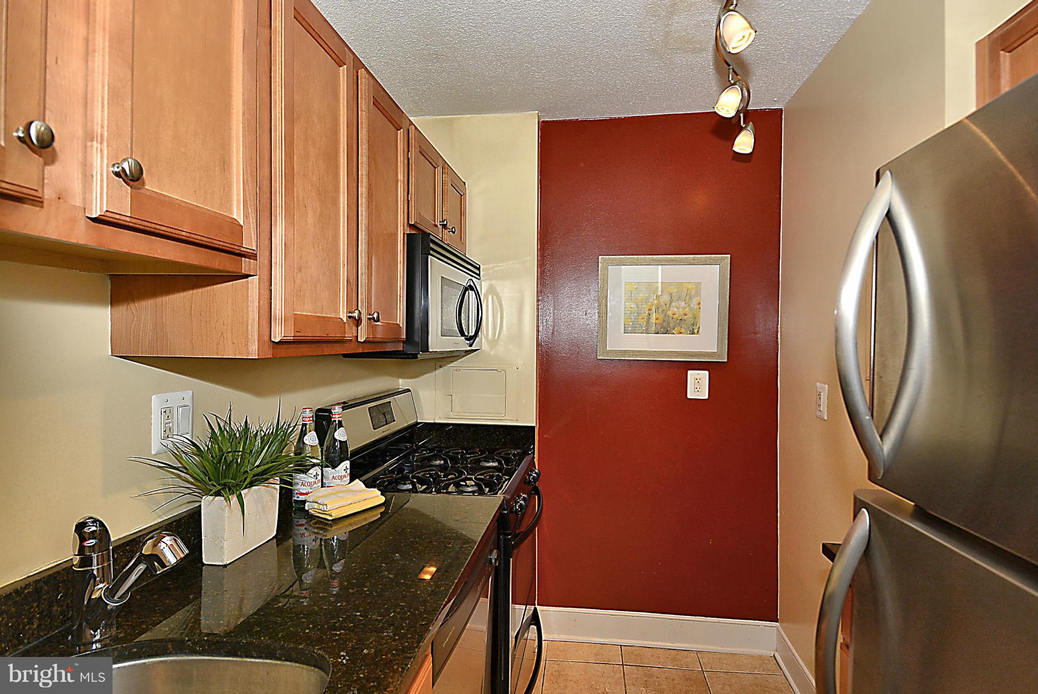 1220 Blair Mill Road, Unit 112 Silver Spring, MD 20910 - Photo 6 of 19 Kitchen