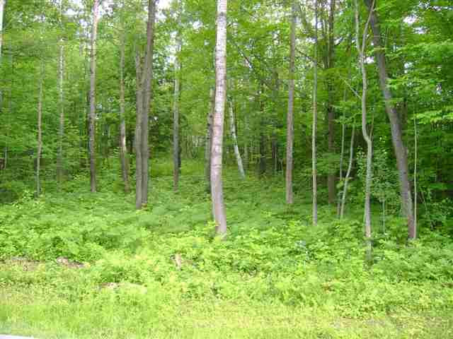 7 Lake Road Delanson, NY 12053 - Photo 1 of 2 Photo 1