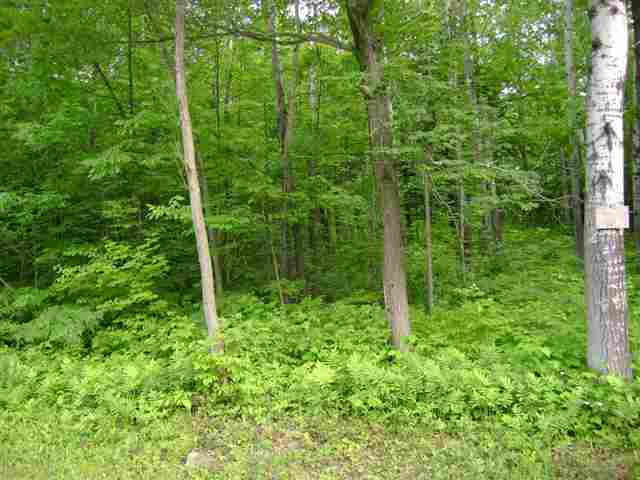 7 Lake Road Delanson, NY 12053 - Photo 2 of 2 Photo 2