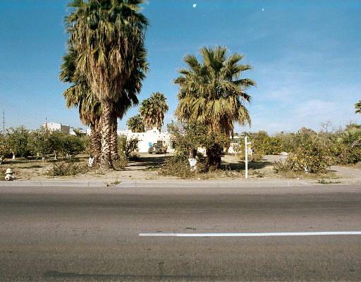 Primary Photo