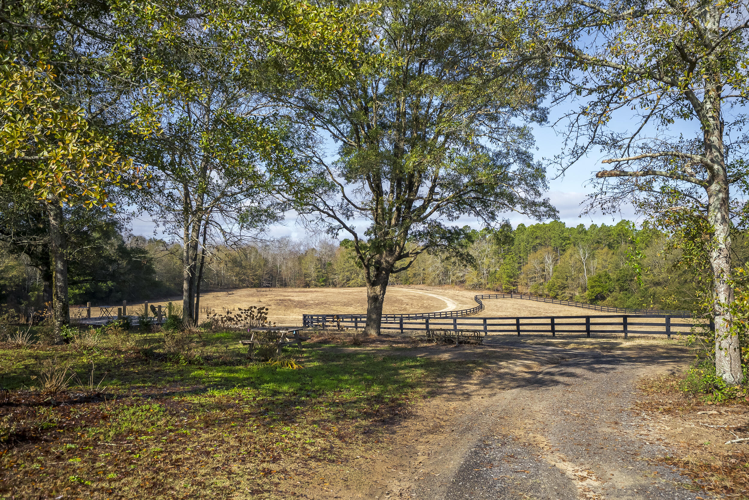 2300 Salley Road Salley, SC 29137 - Photo 5 of 89