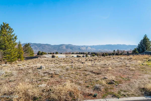 a view of a dry yard with mountains in the background