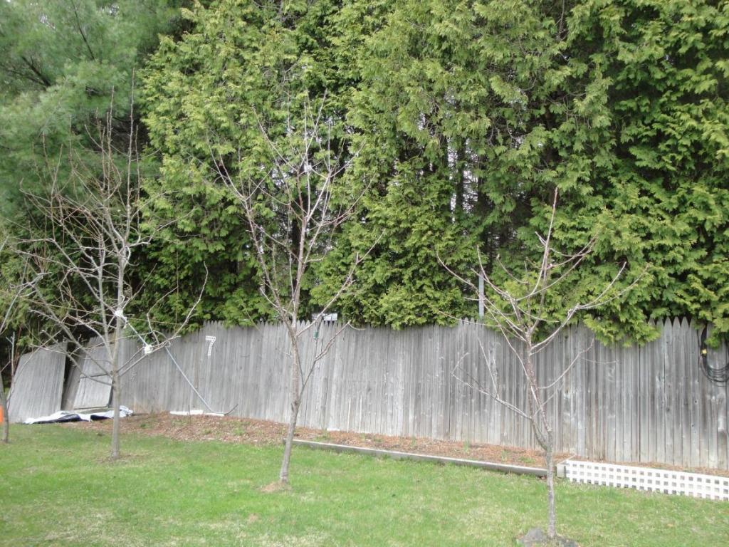 7 Hardy Road Johnson City, NY 13790 - Photo 21 of 23 Gallery Image 21