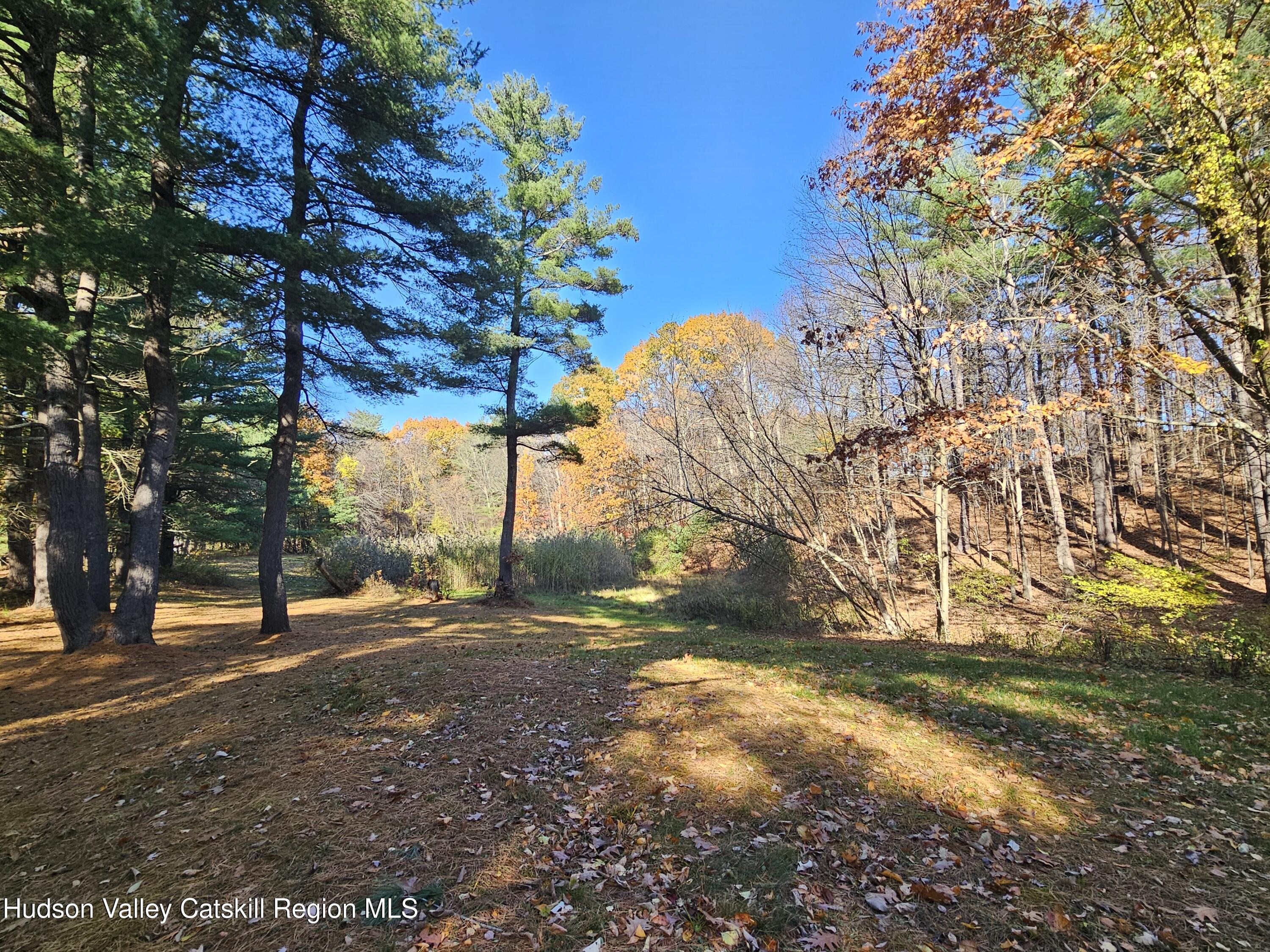 386 Fowler Lake Road Ghent, NY 12075 - Photo 19 of 24 a view of dirt yard with a tree
