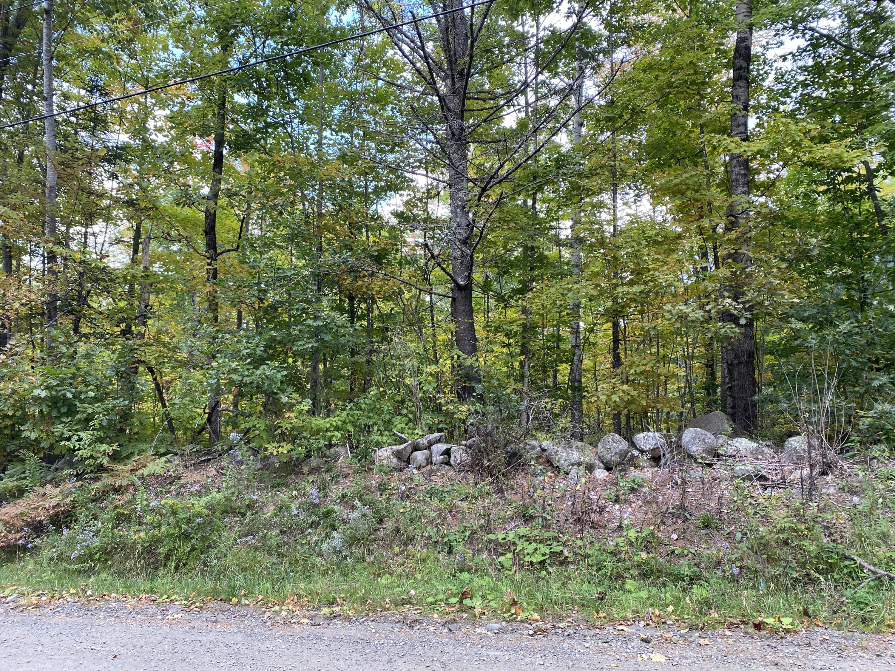 Lot 3 Stream Road Vienna, ME 04360 - Photo 4 of 10 9CF760B2-6CAF-4C1B-85B2-D8FCBDAB3032