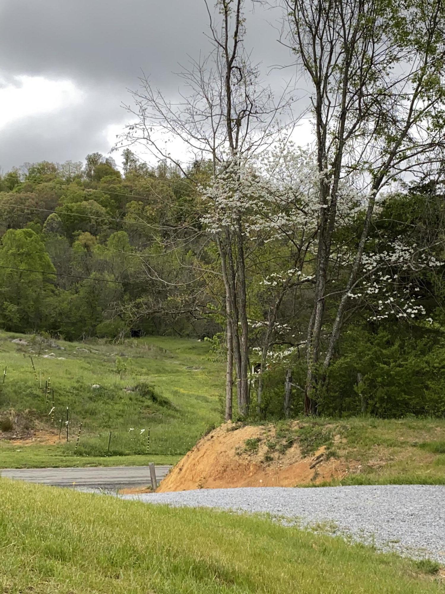 5160 Old Stage Road Chuckey, TN 37641 - Photo 13 of 35 B48A94E6-194C-407E-9C14-8049BC7CF33B