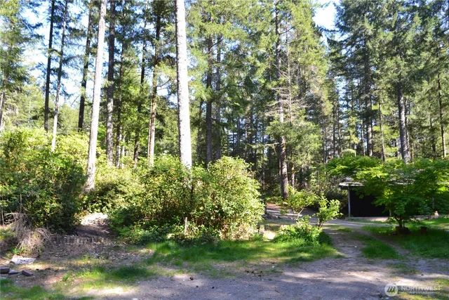 a view of a garden with plants