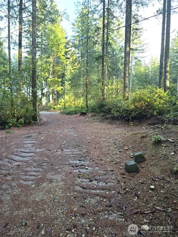 a view of a garden with trees in the background