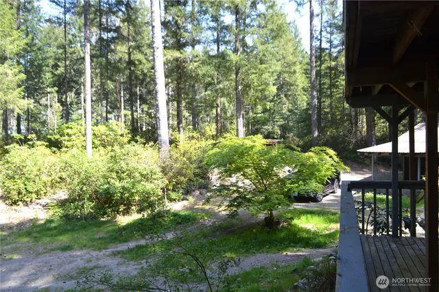 a view of a yard with plants and large trees