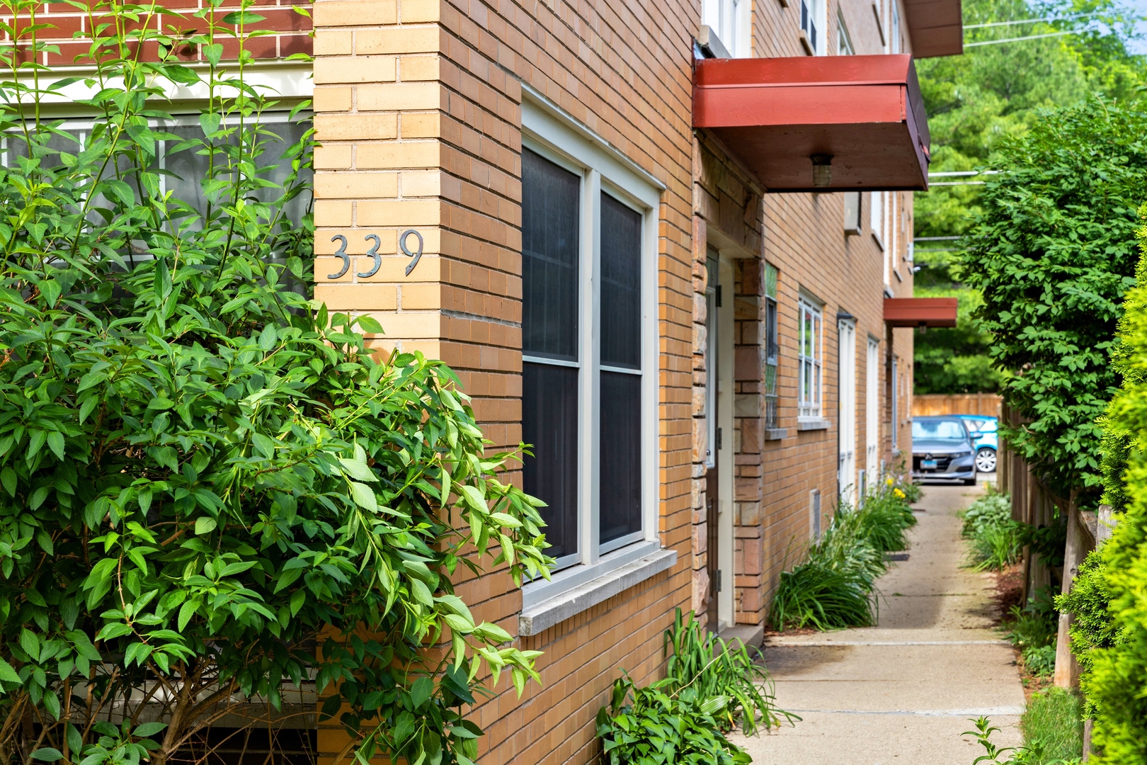 339 Clinton Avenue, Unit 2 Oak Park, IL 60302 - Photo 2 of 24