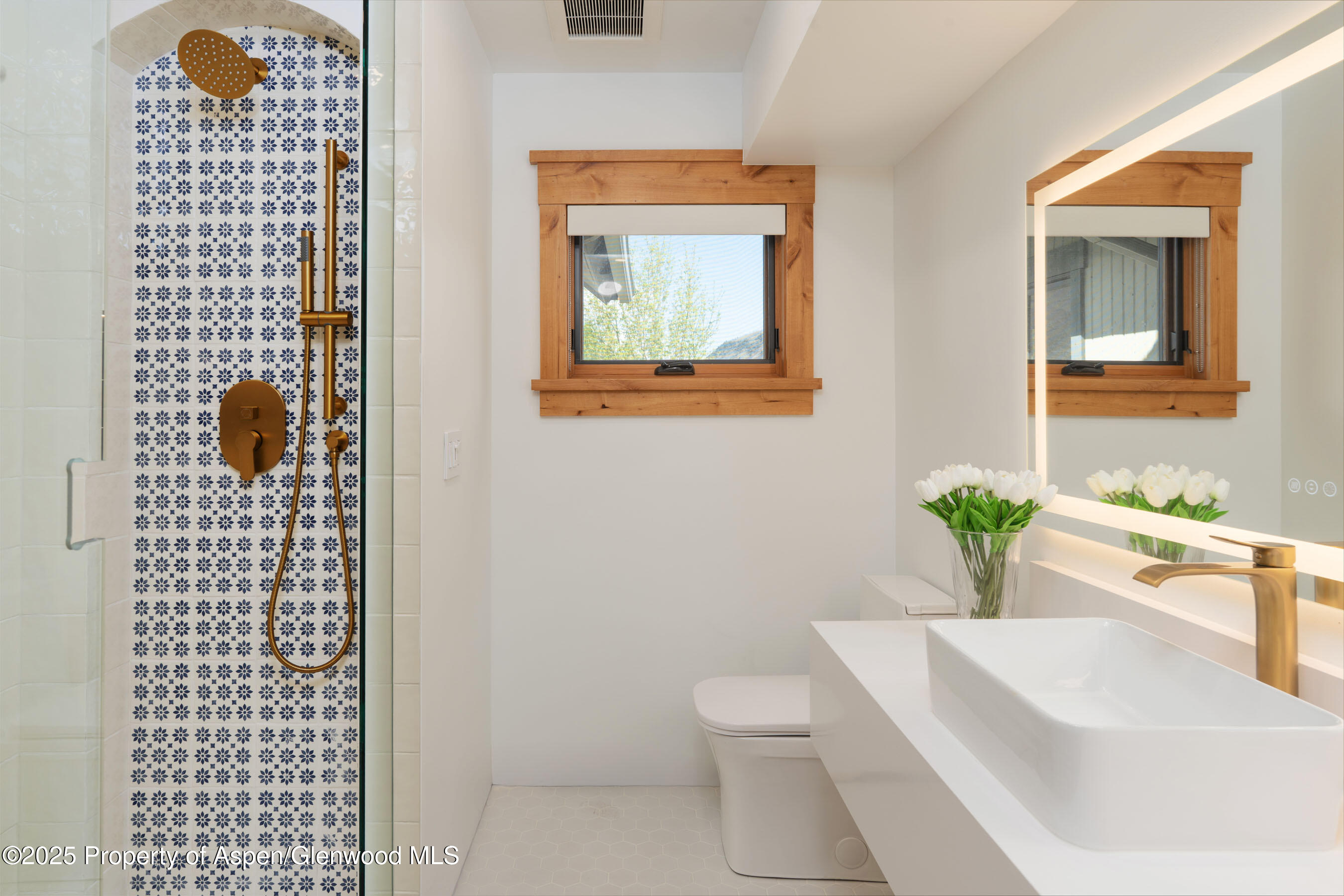 364 Sopris Circle Basalt, CO 81621 - Photo 16 of 28 Guest Bathroom