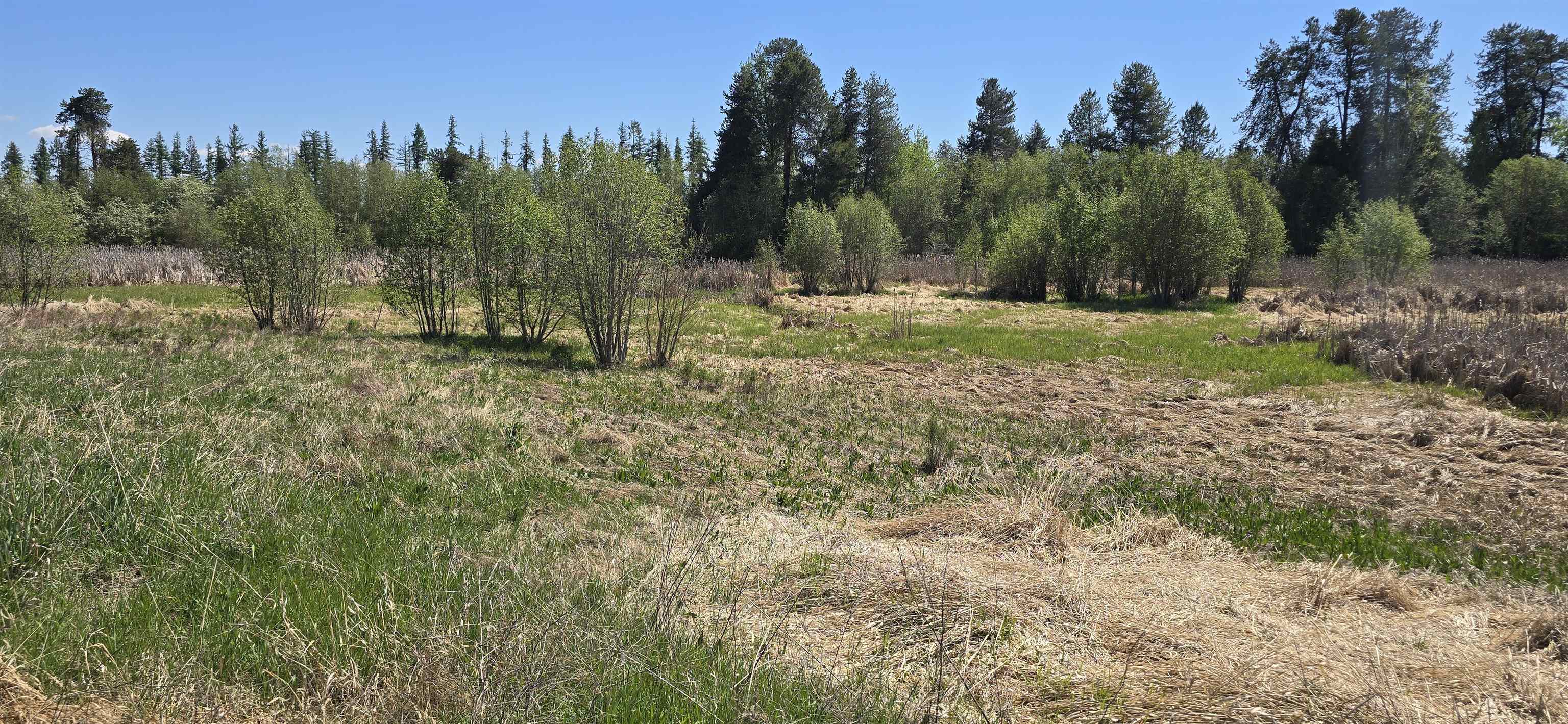 44-xx North Swenson Road Clayton, WA 99110 - Photo 2 of 13