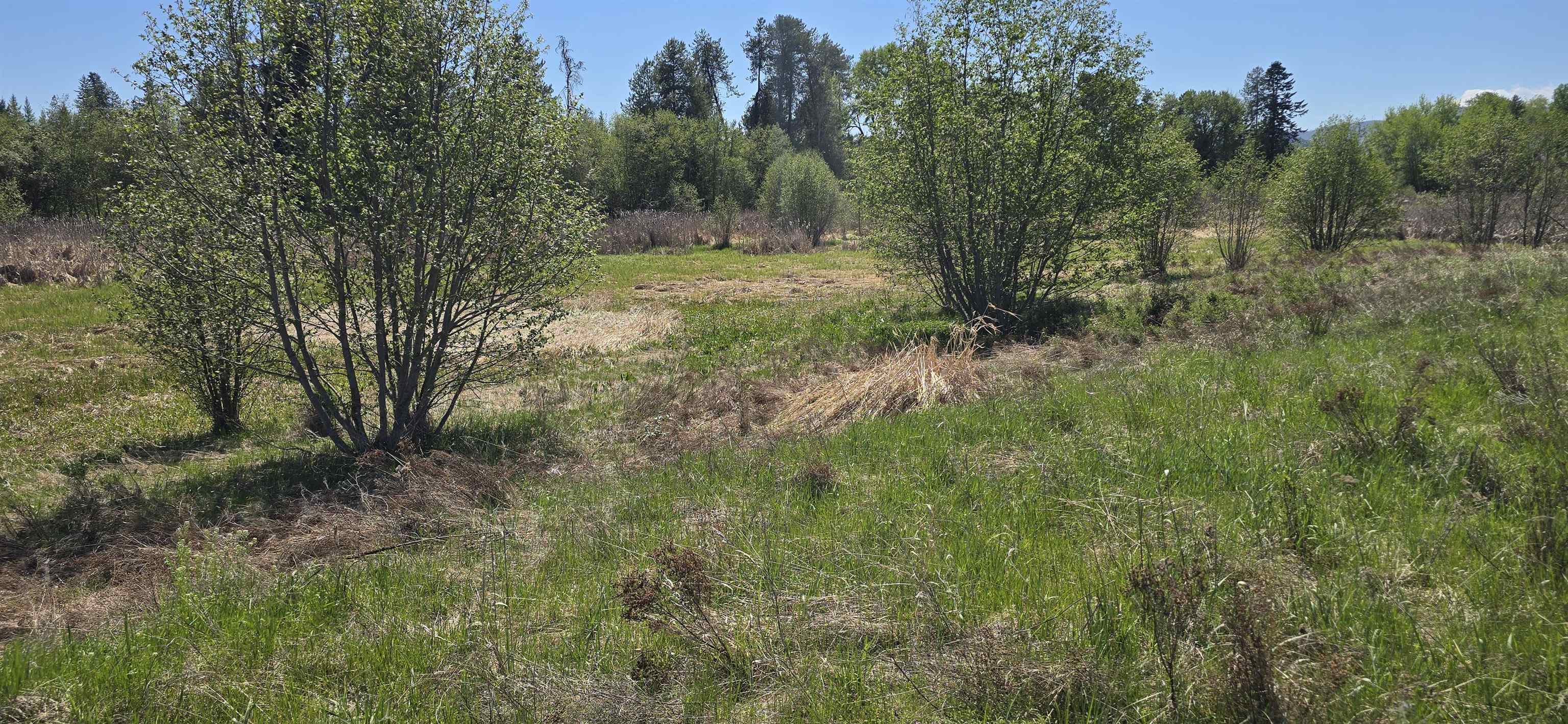 44-xx North Swenson Road Clayton, WA 99110 - Photo 3 of 13