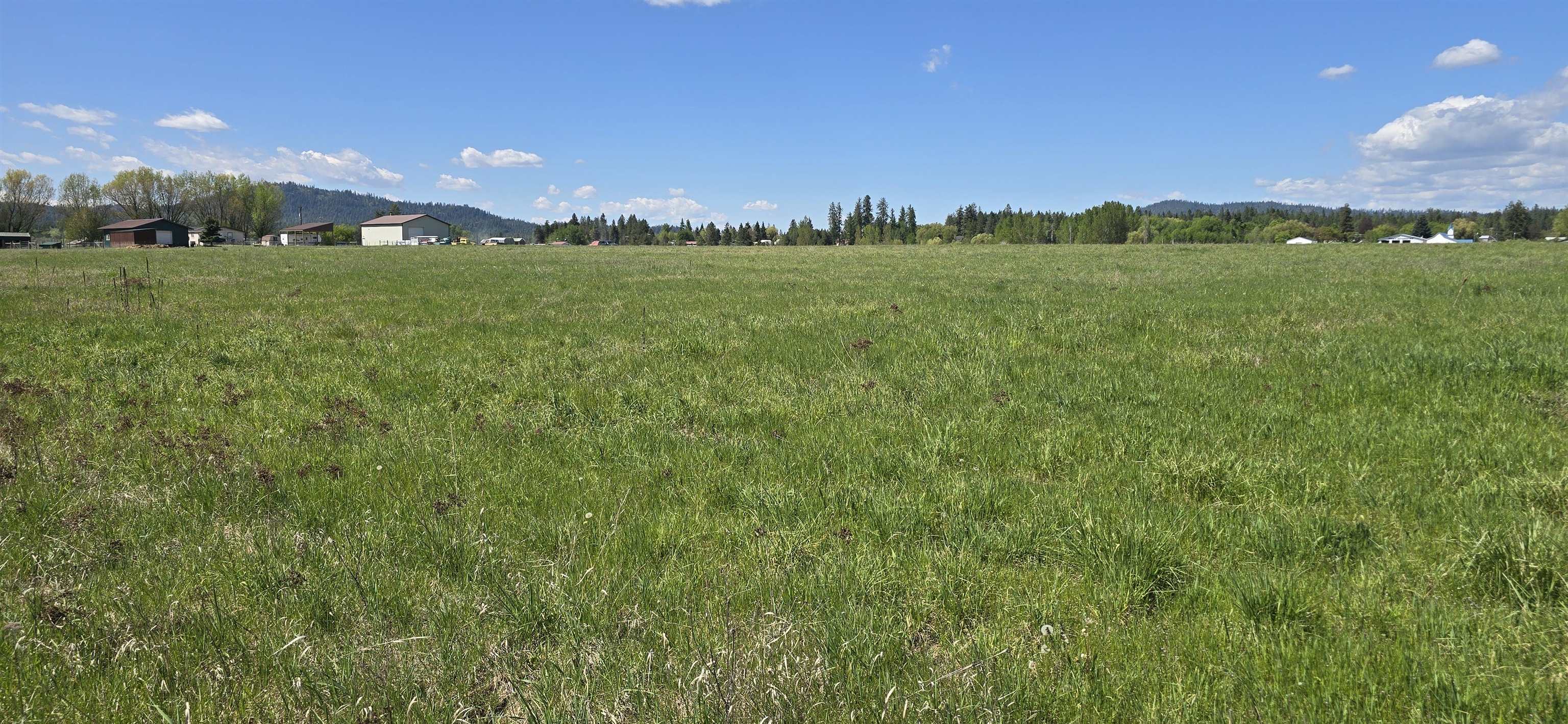 44-xx North Swenson Road Clayton, WA 99110 - Photo 6 of 13