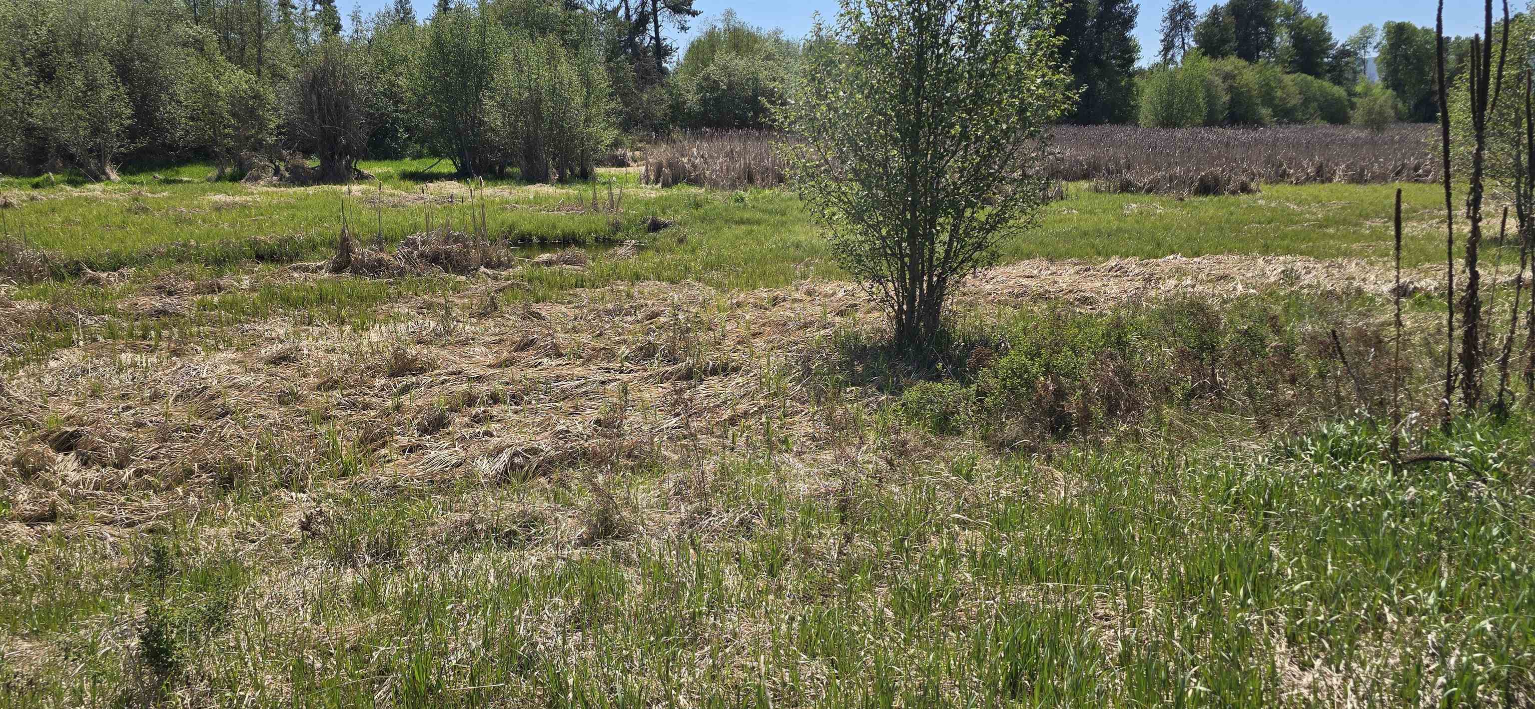 44-xx North Swenson Road Clayton, WA 99110 - Photo 7 of 13