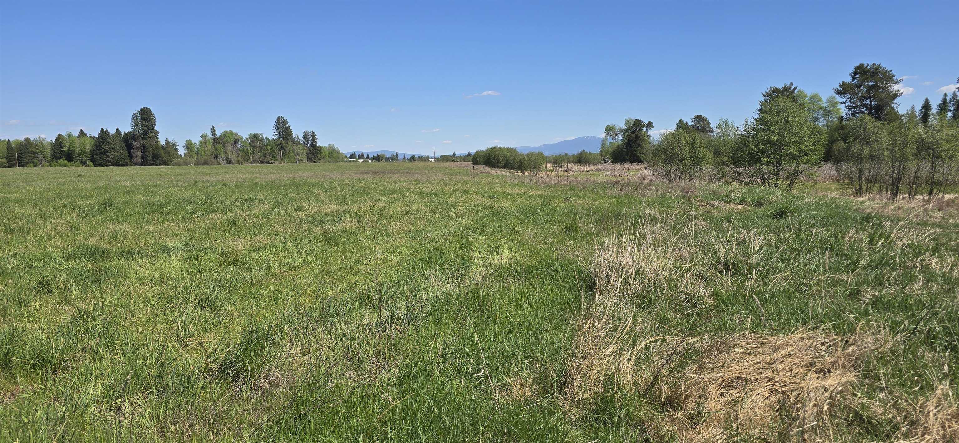 44-xx North Swenson Road Clayton, WA 99110 - Photo 8 of 13