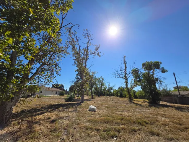 a view of outdoor space with trees all around