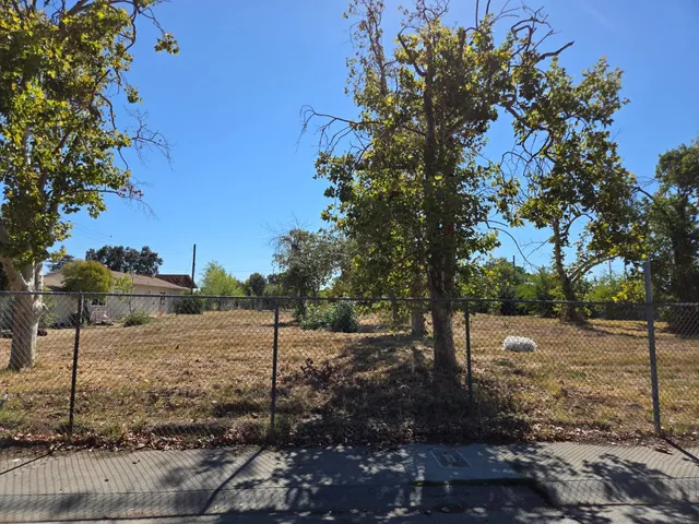 a view of a street with a tree