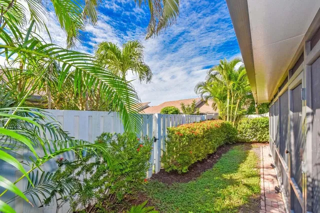 a view of a garden with plants