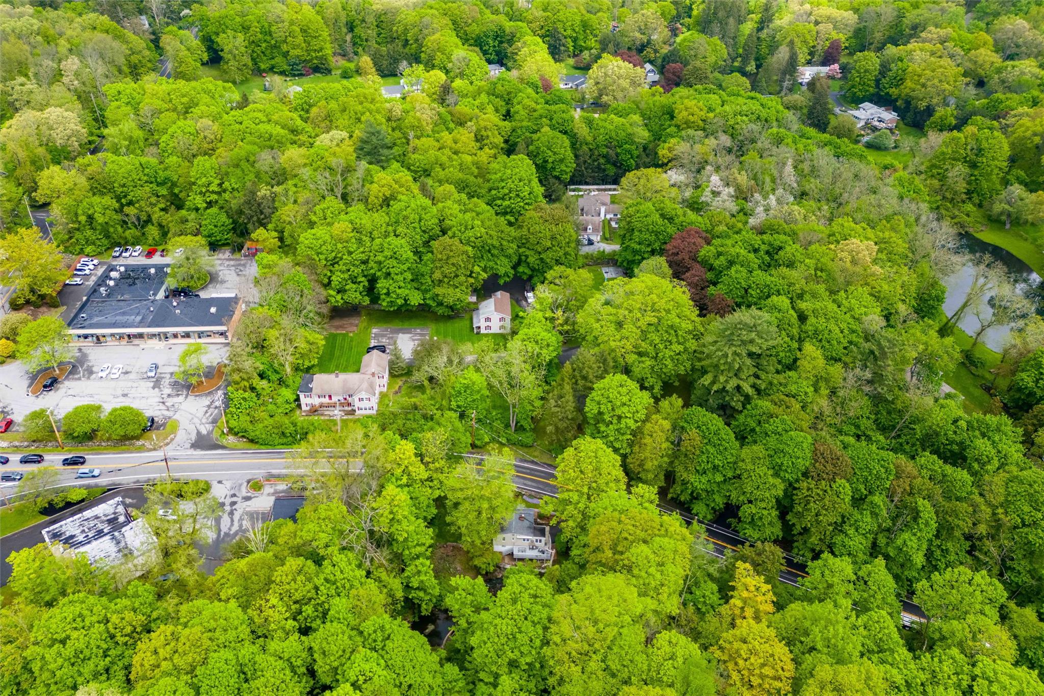 159 Highway 202 Somers, NY 10589 - Photo 37 of 48 a view of a garden with plants