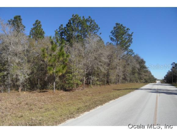 Lot 12 Northeast Lot Bronson, FL 32621 - Photo 1 of 1 Primary Photo