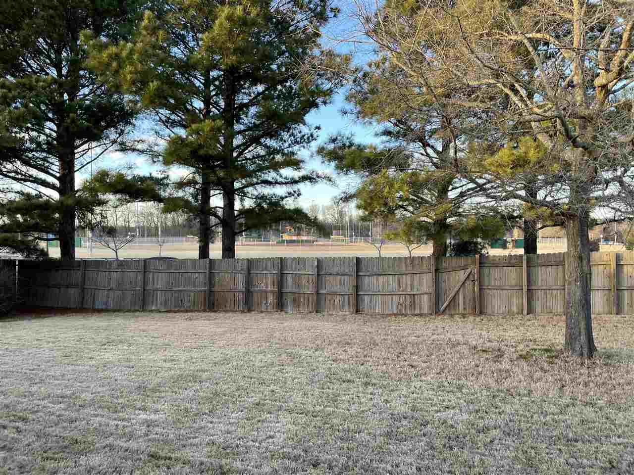 1564 Wolf Ridge Drive Collierville, TN 38017 - Photo 17 of 22 Gallery Image 17