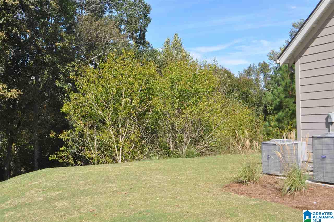226 West Trestle Way Helena, AL 35080 - Photo 30 of 31