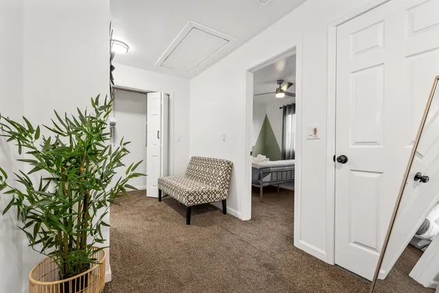 a living room with furniture and a potted plant