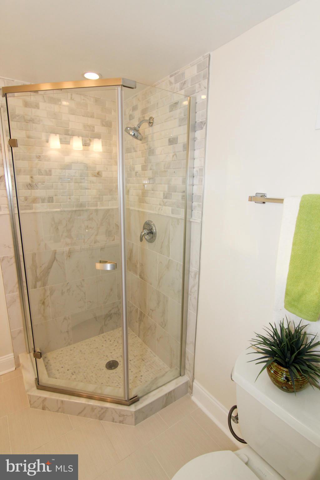 317 Ladson Road Silver Spring, MD 20901 - Photo 26 of 30 Upper Level Bath