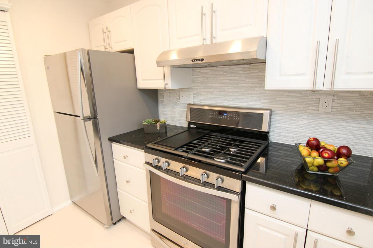 317 Ladson Road Silver Spring, MD 20901 - Photo 10 of 30 Kitchen