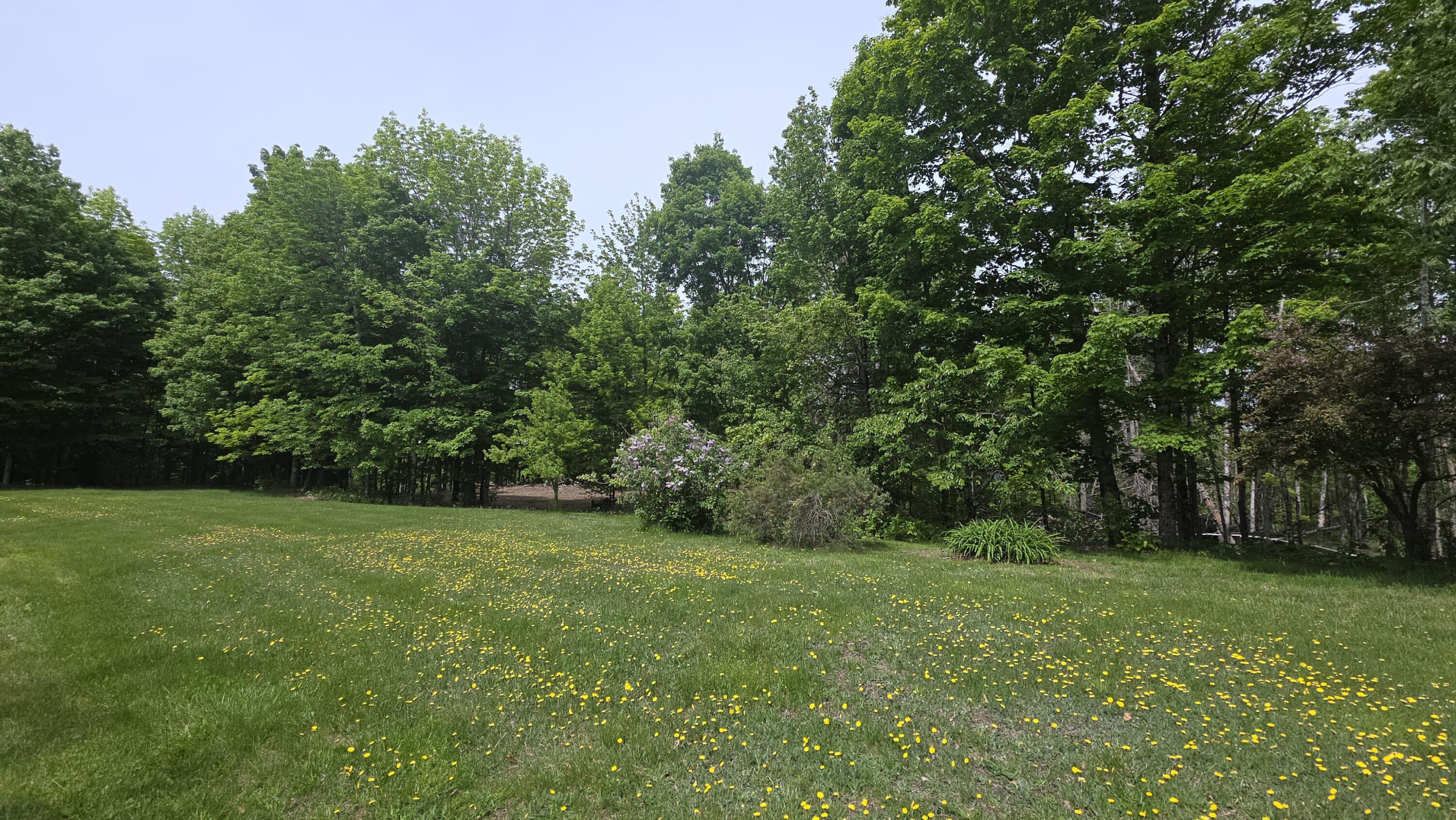 Lot 17 East Thorndike Road Thorndike, ME 04986 - Photo 26 of 31 Lawn