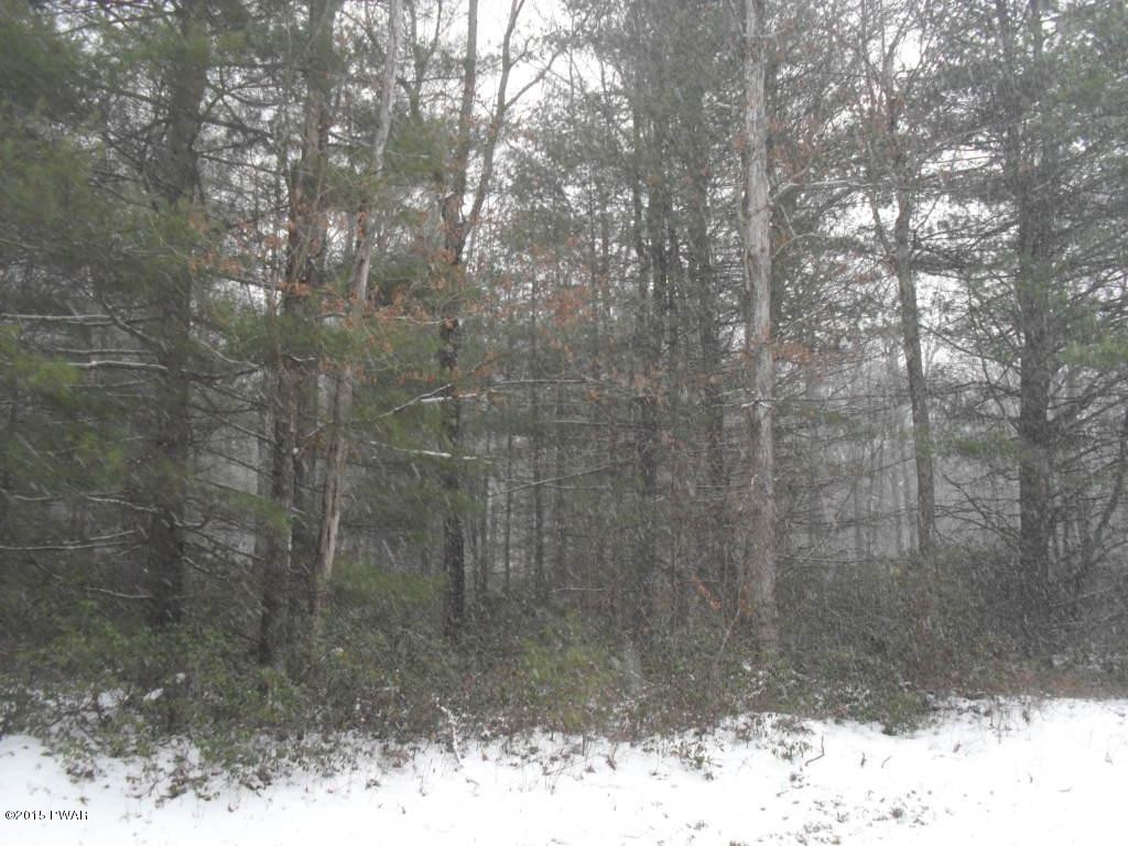 Lot#39 Lake Ridge Road Narrowsburg, NY 12764 - Photo 1 of 4 Gallery Image 1
