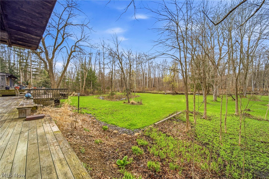 13610 Sperry Road Novelty, OH 44072 - Photo 3 of 42