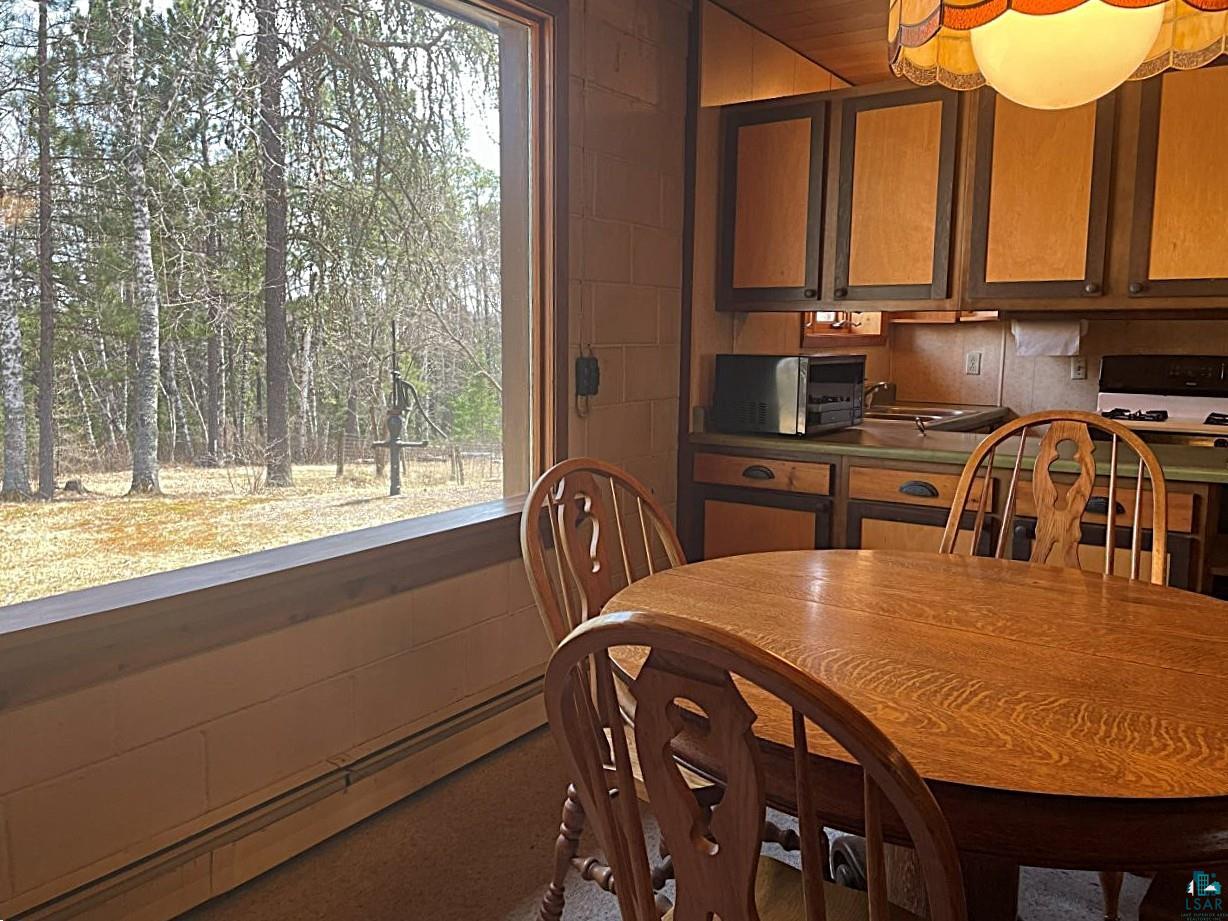 1480 Maijala Road Ely, MN 55731 - Photo 15 of 58 Expansive window offering abundant natural light and showcasing mature trees