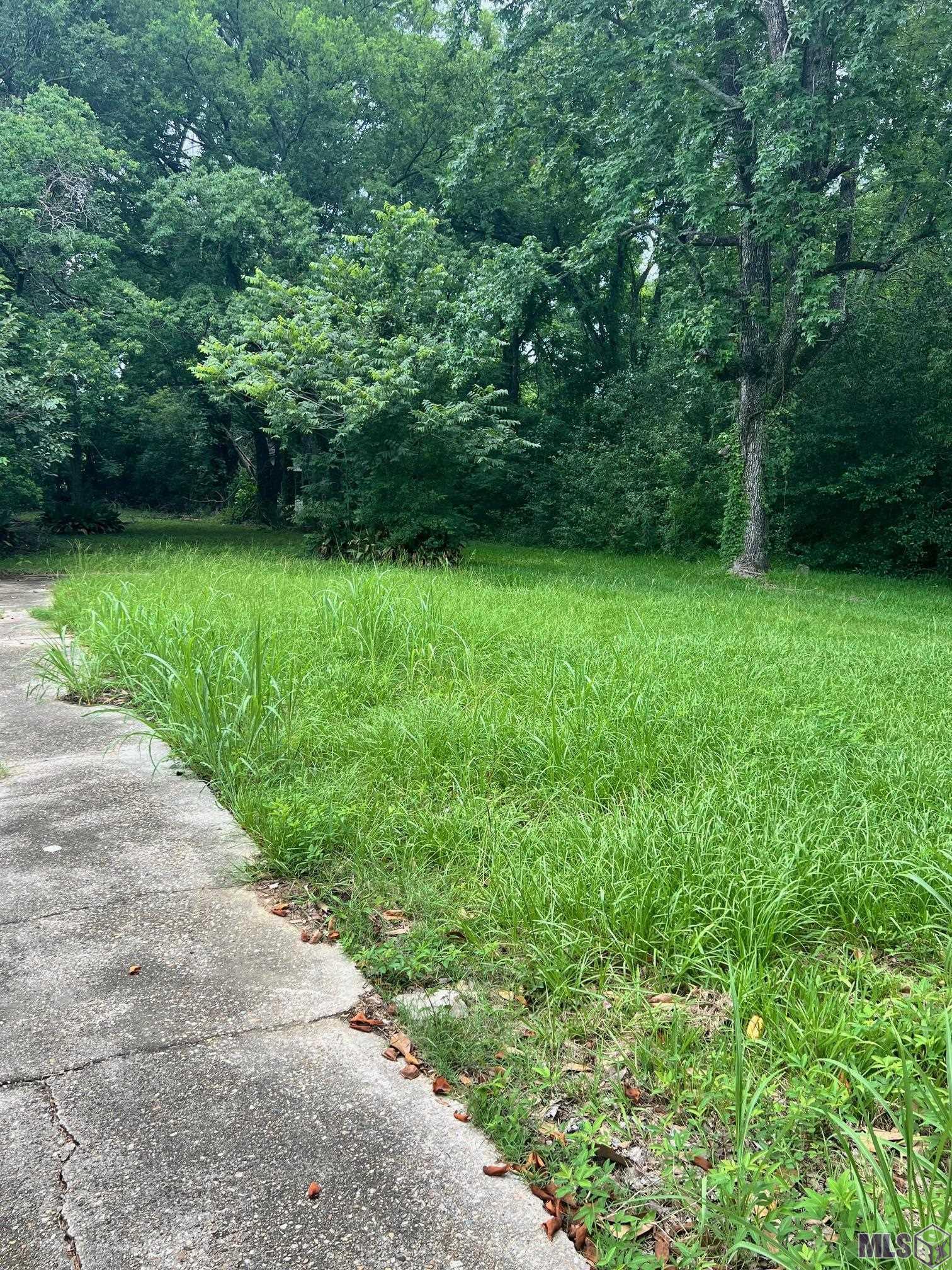 2436 Balis Drive Baton Rouge, LA 70808 - Photo 3 of 7