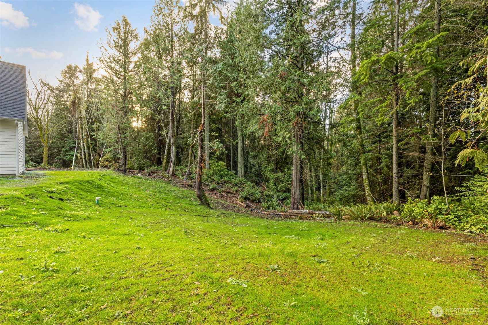 22086 Dewberry Road Northeast Indianola, WA 98342 - Photo 34 of 40 a view of a backyard with large trees