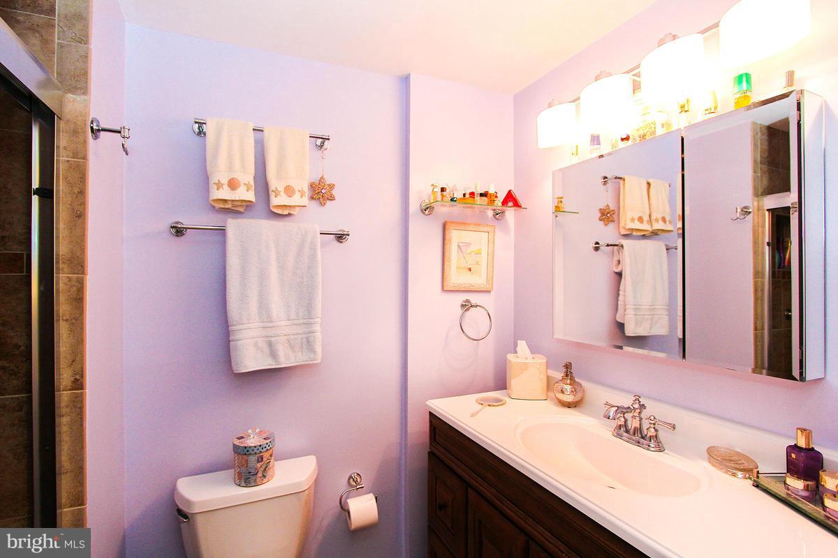 1323 Deep Run Lane Reston, VA 20190 - Photo 23 of 30 Full Bath on Lower Level